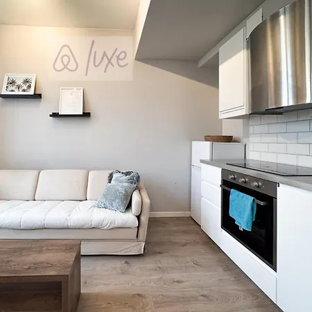 公寓 Double Bed & Sofa Bed New Kitchen & Bathroom 奥斯陆